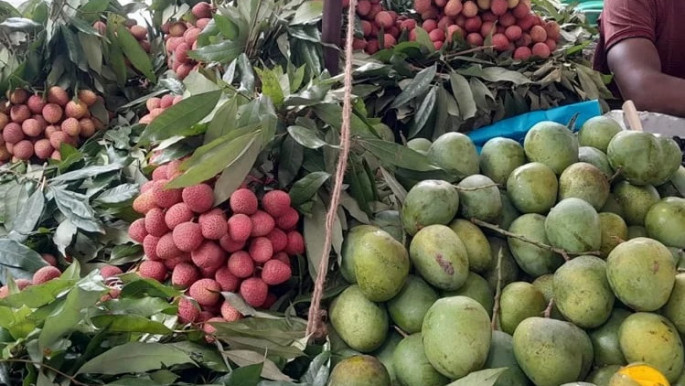 প্রবাসীদের চাহিদায় ফল রপ্তানিতে রেকর্ড, ১১ মাসে আয় ১২.৩ কোটি ডলার